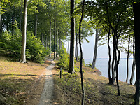 Sonderborgse bos 3