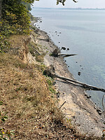 Sonderborgse bos 2