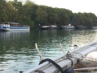 Avignon