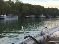 Avignon