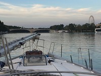 Avignon