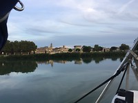 Avignon