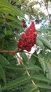 20160909_104956