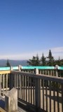VID-20160906-WA0015
