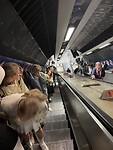 IMG_9011