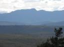 IMG_2472-550