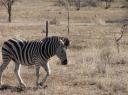 IMG_3097-550