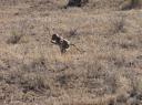 IMG_3102-550