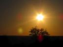 IMG_3154-550
