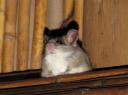 IMG_3165-550