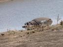 IMG_3197-550