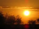 IMG_3295-550