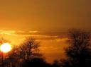 IMG_3299-550
