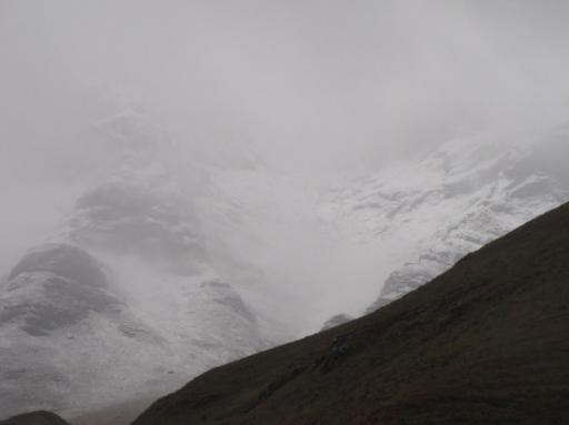 IMG_3568-550