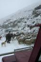 Kruger National Park and Lesotho 753-550