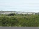 IMG_0677-550