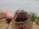 IMG_2095-550