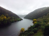 Rivier