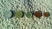 Muntjes