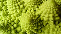 Romanesco