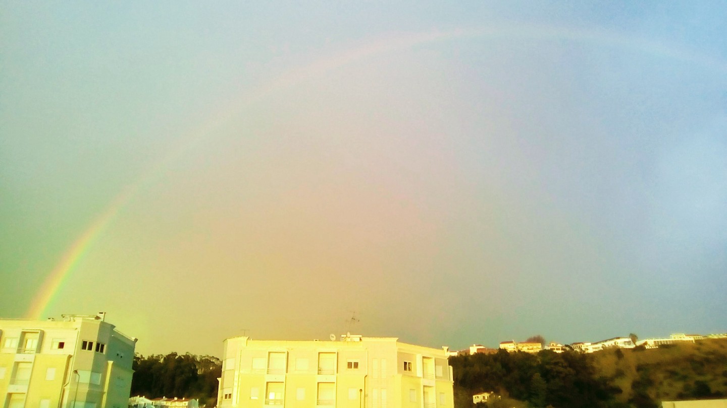 Regenboog