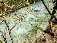 Drinkbaar rivierwater