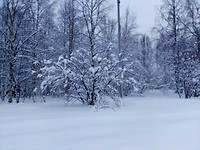 Wintersprookje