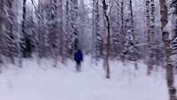 Wood-hunting