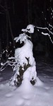 Aliens in het bos