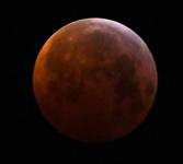 Bloedmaan