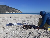 Patatjes op kampvuur op een ideaal strand