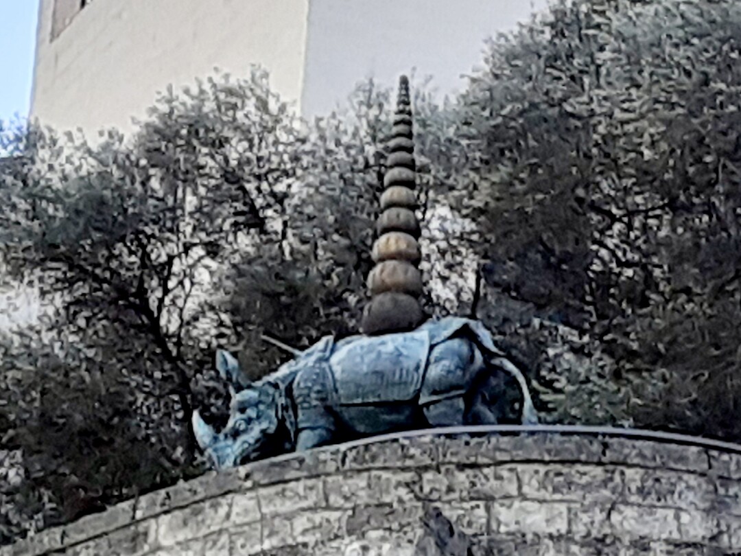 Neushoorn kunstwerk Dali