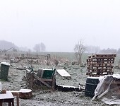 Eerste sneeuw