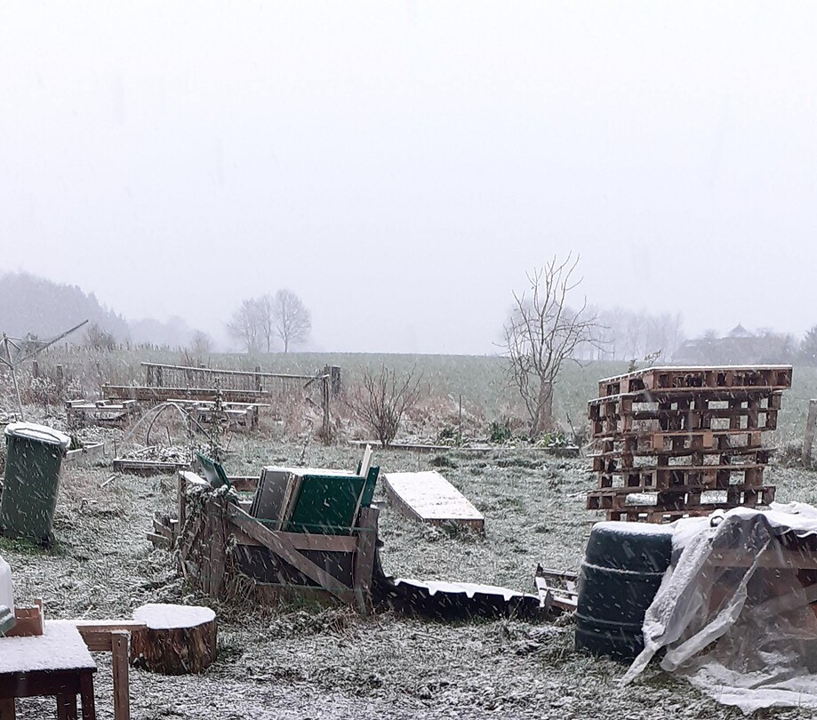 Eerste sneeuw