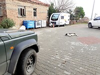 Hond gaat liggen midden op straat