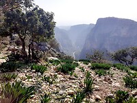 Pad Adamkayalar uitzicht kloof
