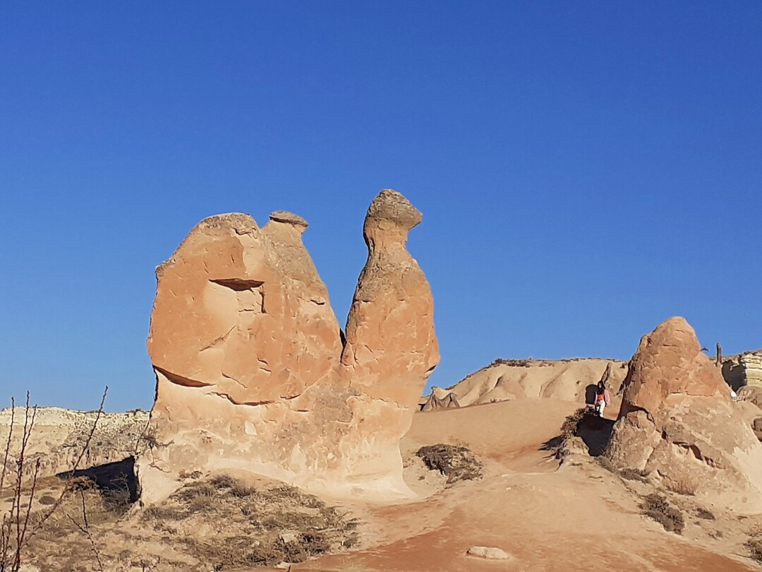 Camel Rock