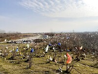 Plastieken zakjes zover het oog reikt