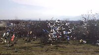 Stortplaats of Tibbetaanse vlaggetjes