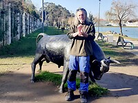 Stier-standbeeld