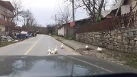 Waggelende kwakkies op de baan