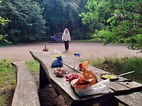 Picknick in bos