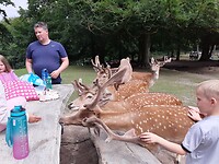 Aan tafel