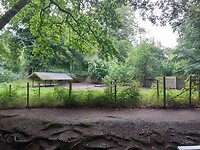 Domein everzwijnen