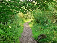 Smal zijweggetje