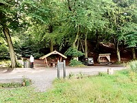 Heerlijk picknick-plek in bos