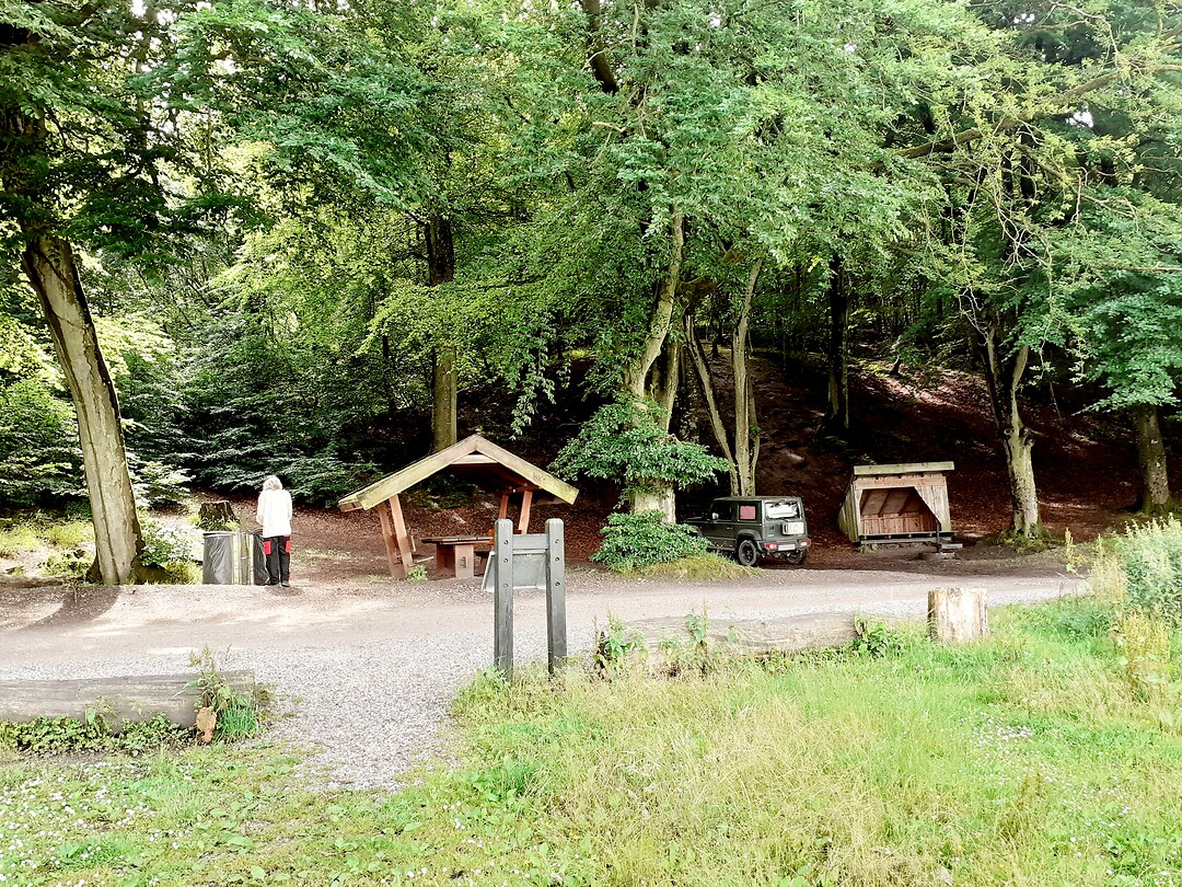 Heerlijk picknick-plek in bos