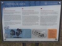 The death of Lindholm Høje