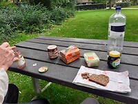 Picknick bij de zingende bomen