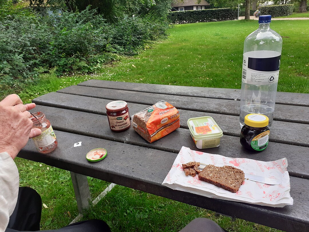 Picknick bij de zingende bomen
